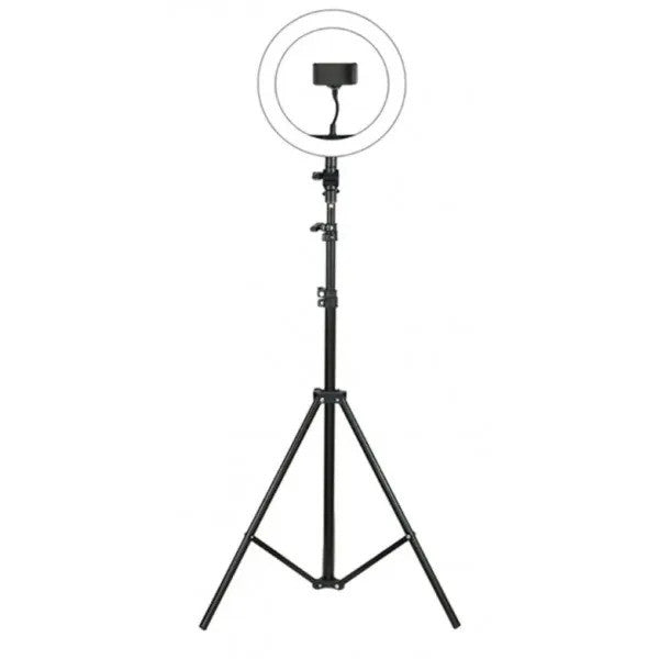 TREPIED LUMINEUX JMARY FM-536A