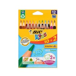 CRAYONS DE COULEUR BIC EVOLUTION TRIANGLE 10+2/14