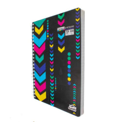CAHIER TP WIRO A4 300P ALADIN