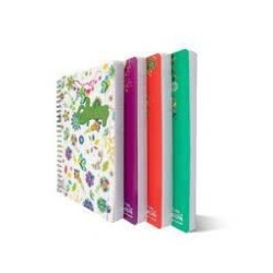 CAHIER WIRO 17*22 300P 60G OMEGA