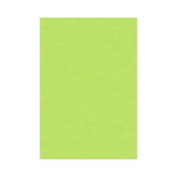 PRO CAH 24*32 CRISTAL PISTACHE