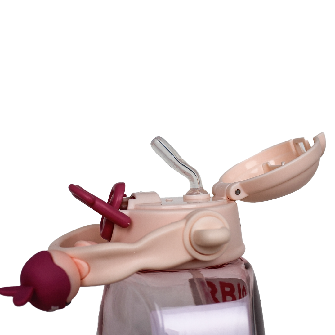 BOUTEILLE A EAU REF HZ800-200 850ML