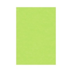 PAPIER CREPON VERT PISTACHE COOL 80-12
