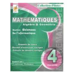 COLLECTION PILOTE-MATH 4E SC.INFORMATIQUES