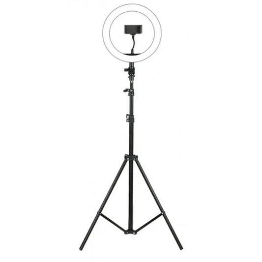 TREPIED LUMINEUX JMARY FM-536A